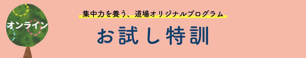 お試し特訓