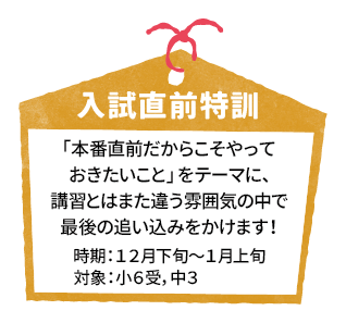 入試直前特訓